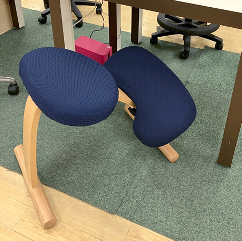 2602姿勢椅子_バランスチェア.jpg